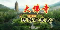 美女干逼逼的网站中国浙江-新昌大佛寺旅游风景区